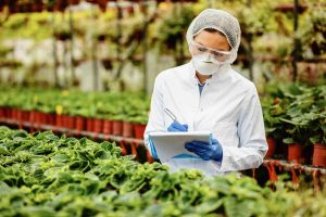 food safety industri